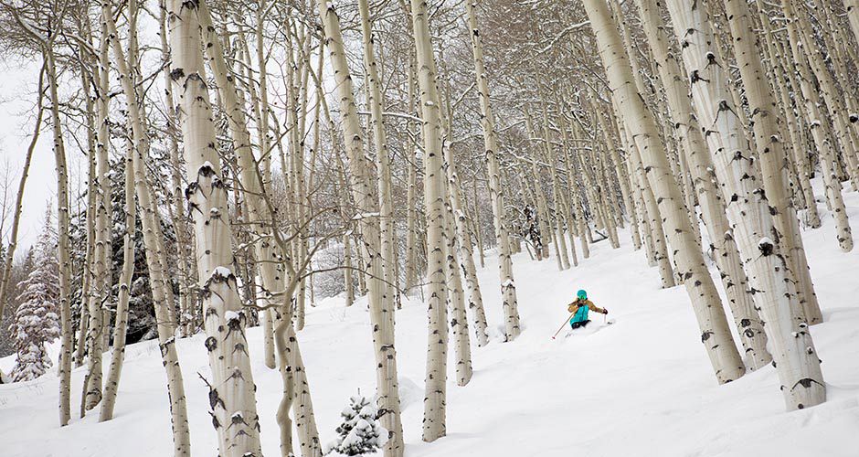 US resorts have great tree skiing. Photo: Aspen Ski Resort - image 0